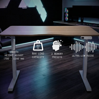 HavenzUp Electric Standing Desk – Adjustable Height Desk for Gaming & Work (120×60 cm)